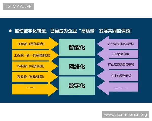 米兰数字站在推动本地数字产业升级中的作用与未来发展规划分析